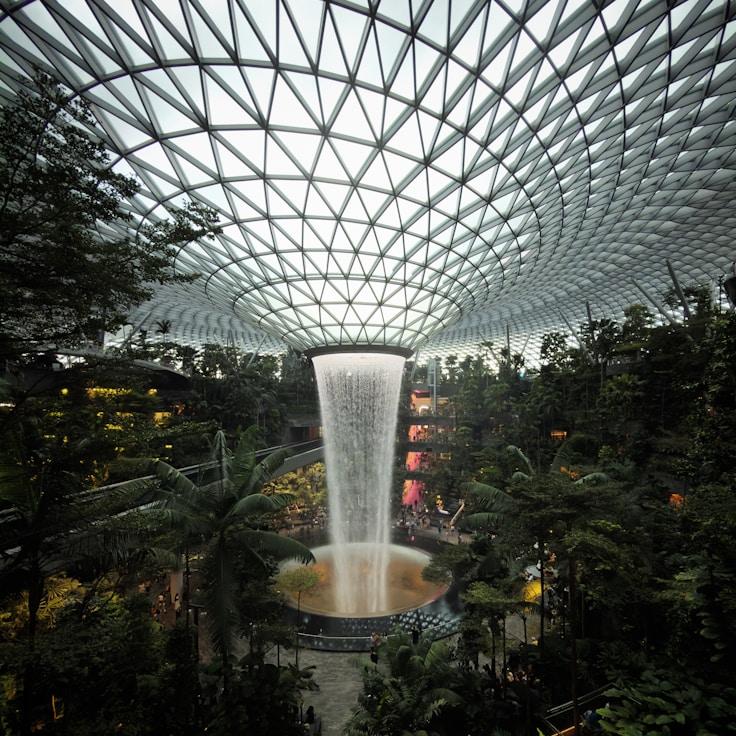 Dining out as an expat family in France